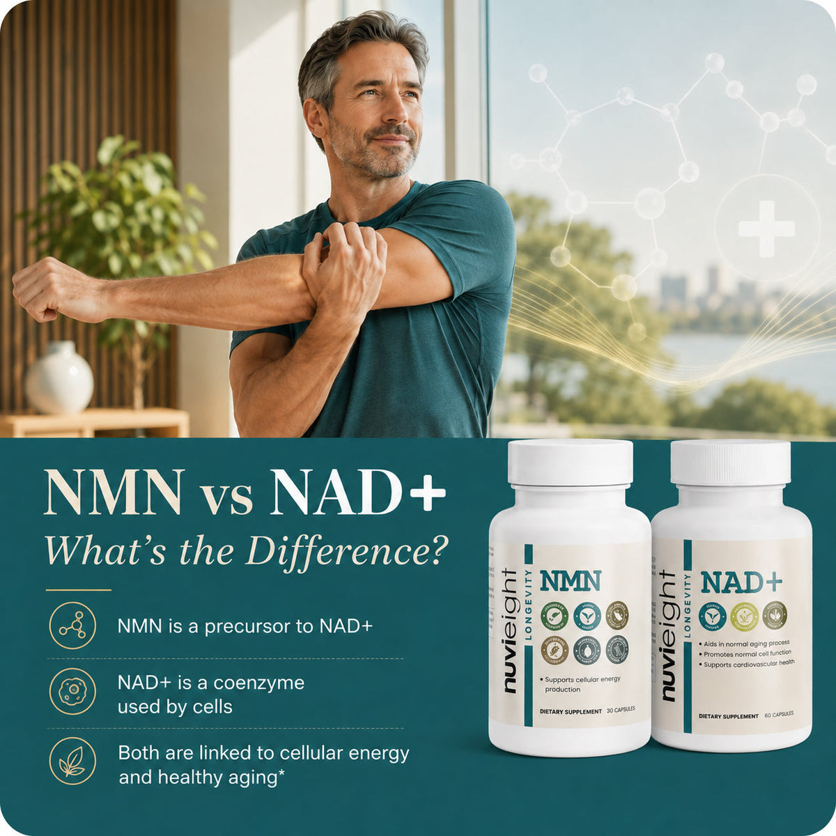 NMN vs NAD+ — nuvieight NMN and NAD+ supplement bottles beside a man stretching
