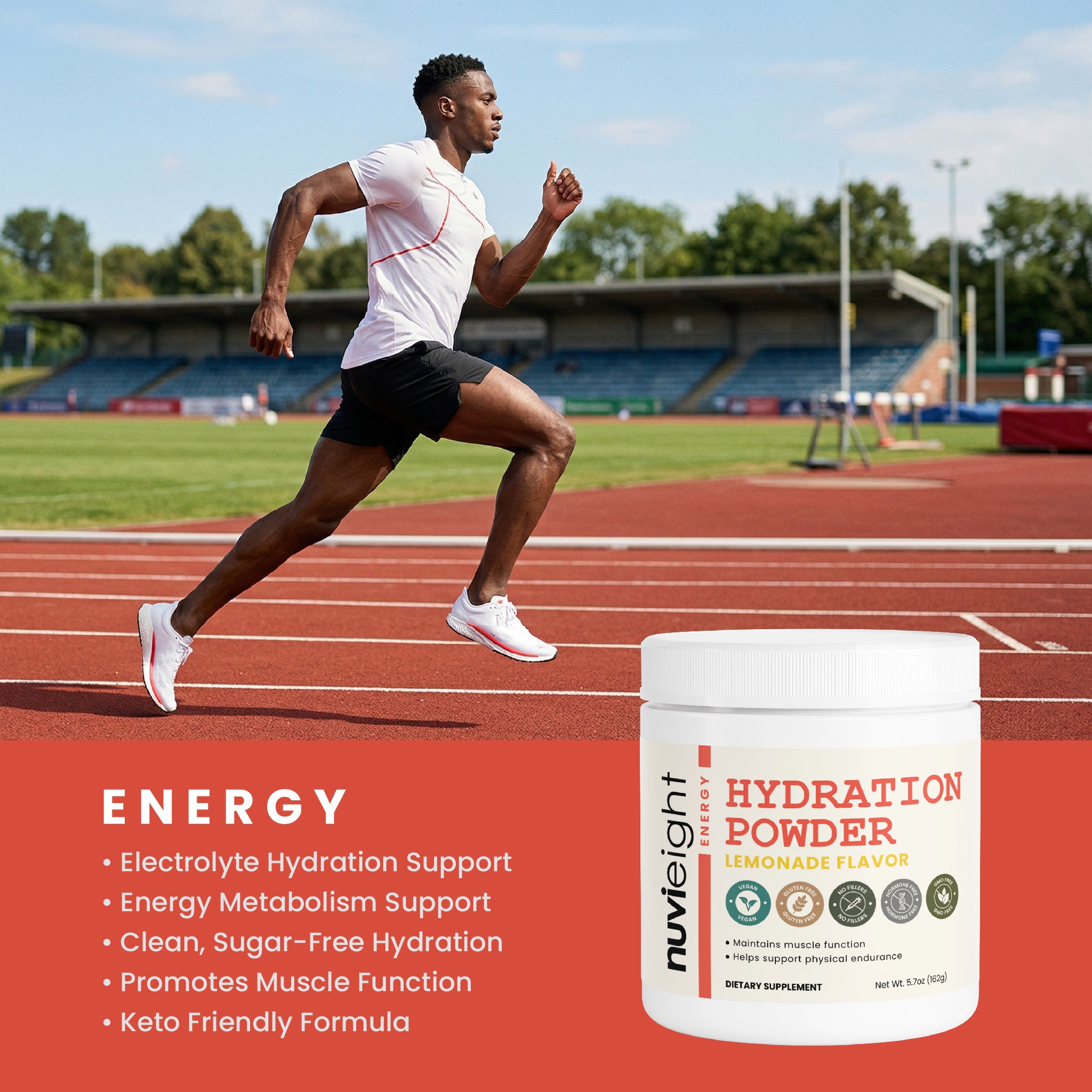 Hydration Powder (Lemonade)